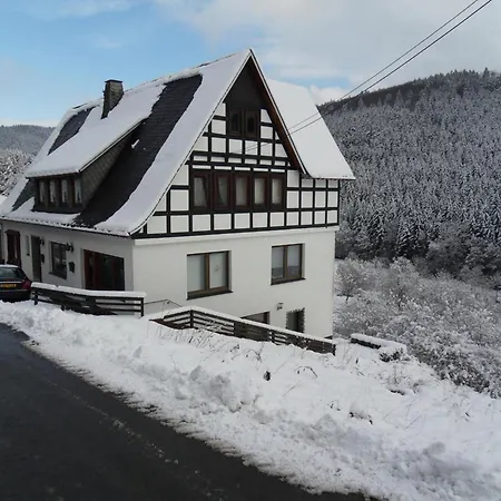Feriehus Kurhaus Am Nordenau - 10 Pers *