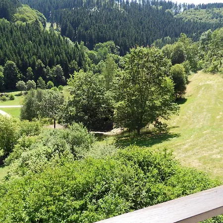Kurhaus Am Nordenau - 10 Pers Ferienhaus *