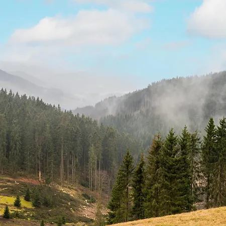 Kurhaus Am Nordenau - 10 Pers