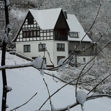 Kurhaus Am Nordenau - 10 Pers Prázdninový dům Schmallenberg