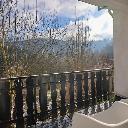 Feriehus Kurhaus Am Nordenau - 10 Pers *