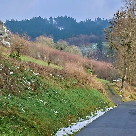 Kurhaus Am Nordenau - 10 Pers * Schmallenberg