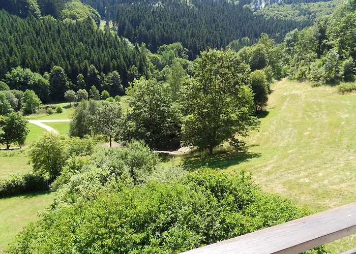 Kurhaus Am Nordenau - 10 Pers 度假居