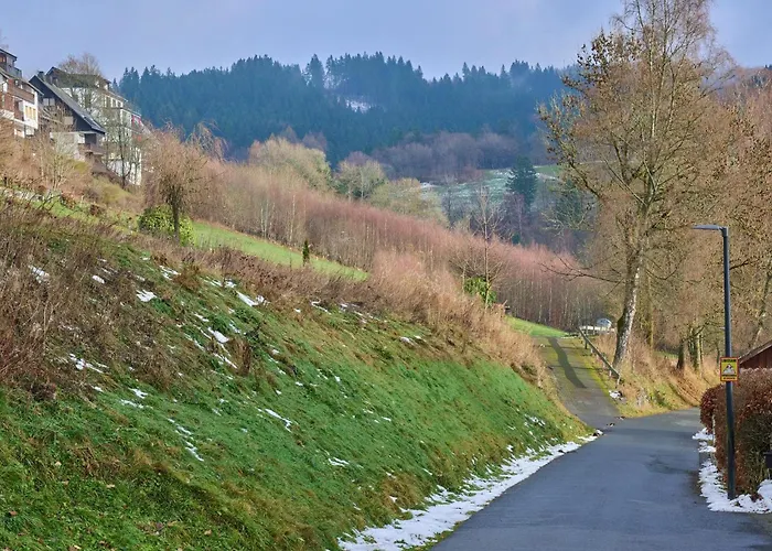 Kurhaus Am Nordenau - 10 Pers * 施马伦贝格